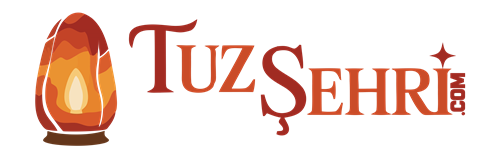 Tuz Şehri